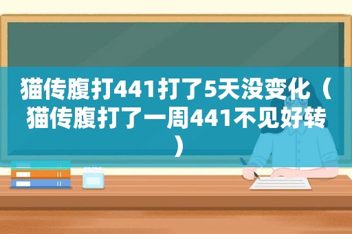 猫传腹打441打了5天没变化（猫传腹打了一周441不见好转）