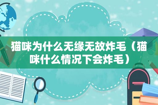 猫咪为什么无缘无故炸毛（猫咪什么情况下会炸毛）