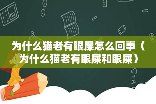 为什么猫老有眼屎怎么回事（为什么猫老有眼屎和眼屎）