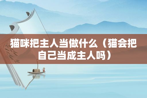 猫咪把主人当做什么（猫会把自己当成主人吗）