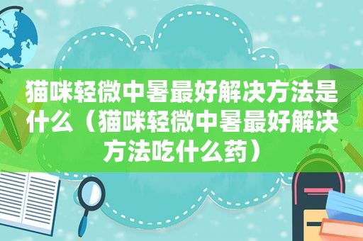 猫咪轻微中暑最好解决方法是什么（猫咪轻微中暑最好解决方法吃什么药）