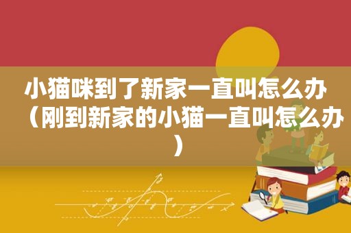 小猫咪到了新家一直叫怎么办（刚到新家的小猫一直叫怎么办）