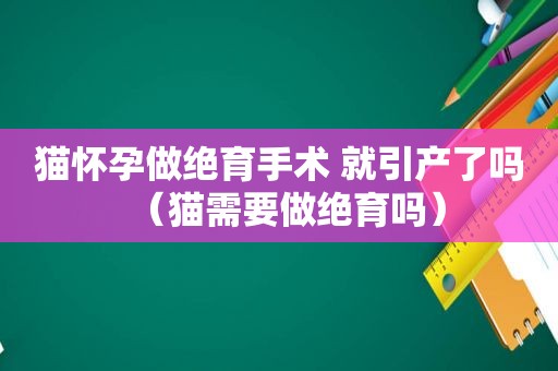 猫怀孕做绝育手术 就引产了吗（猫需要做绝育吗）