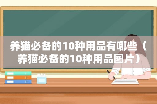养猫必备的10种用品有哪些（养猫必备的10种用品图片）