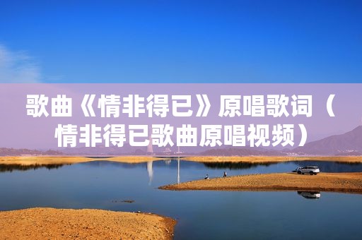歌曲《情非得已》原唱歌词（情非得已歌曲原唱视频）