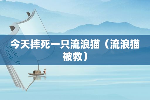 今天摔死一只流浪猫（流浪猫被救）