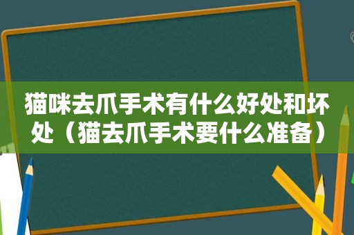 猫咪去爪手术有什么好处和坏处（猫去爪手术要什么准备）