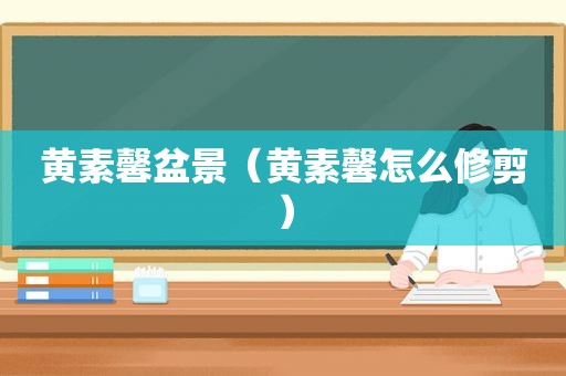 黄素馨盆景（黄素馨怎么修剪）
