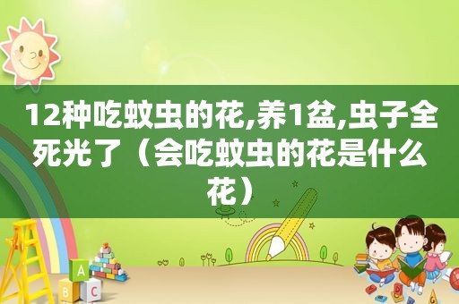 12种吃蚊虫的花,养1盆,虫子全死光了（会吃蚊虫的花是什么花）