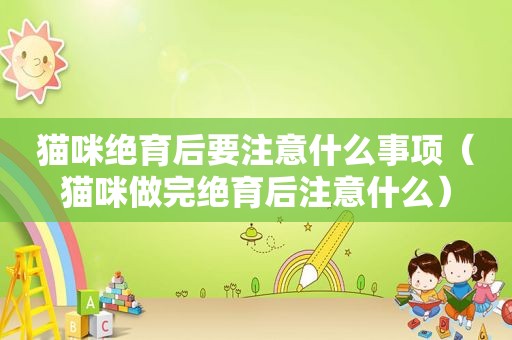 猫咪绝育后要注意什么事项（猫咪做完绝育后注意什么）