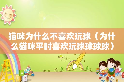 猫咪为什么不喜欢玩球（为什么猫咪平时喜欢玩球球球球）