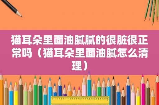 猫耳朵里面油腻腻的很脏很正常吗（猫耳朵里面油腻怎么清理）