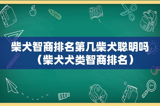 柴犬智商排名第几柴犬聪明吗（柴犬犬类智商排名）