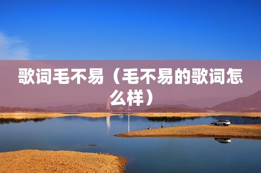 歌词毛不易（毛不易的歌词怎么样）