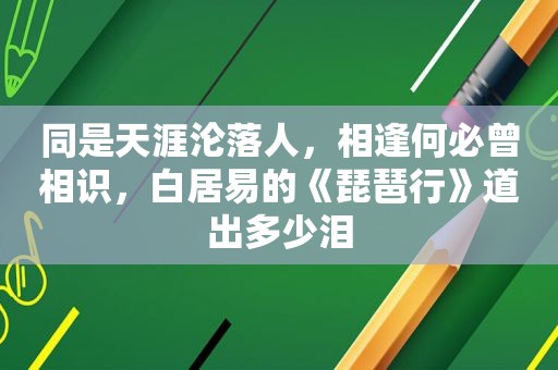 同是天涯沦落人，相逢何必曾相识，白居易的《琵琶行》道出多少泪