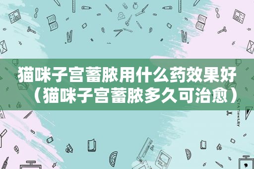 猫咪子宫蓄脓用什么药效果好（猫咪子宫蓄脓多久可治愈）