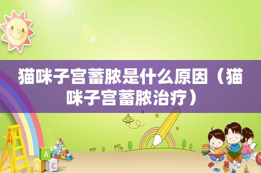 猫咪子宫蓄脓是什么原因（猫咪子宫蓄脓治疗）