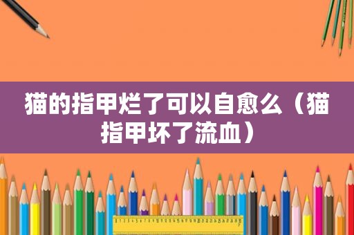 猫的指甲烂了可以自愈么（猫指甲坏了流血）