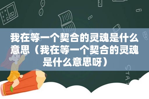 我在等一个契合的灵魂是什么意思（我在等一个契合的灵魂是什么意思呀）