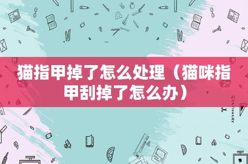 猫指甲掉了怎么处理（猫咪指甲刮掉了怎么办）
