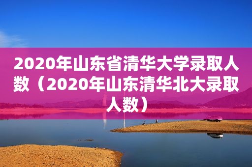 2020年山东省清华大学录取人数(2020年山东清华北大录取人数) 2020年山东省清华大学录取人数(2020年山东清华北大录取人数)