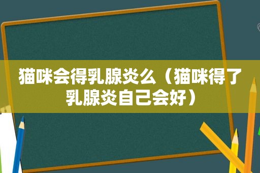 猫咪会得乳腺炎么（猫咪得了乳腺炎自己会好）