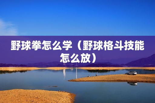 野球拳怎么学（野球格斗技能怎么放）