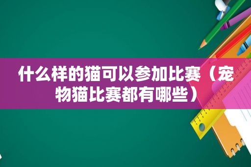 什么样的猫可以参加比赛（宠物猫比赛都有哪些）