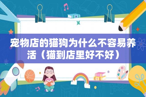 宠物店的猫狗为什么不容易养活（猫到店里好不好）