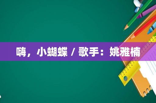 嗨，小蝴蝶 / 歌手：姚雅楠