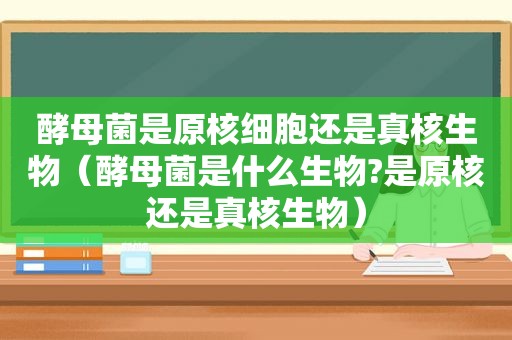 酵母菌是原核细胞还是真核生物（酵母菌是什么生物?是原核还是真核生物）