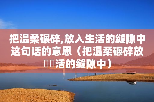 把温柔碾碎,放入生活的缝隙中这句话的意思（把温柔碾碎放⼊⽣活的缝隙中）