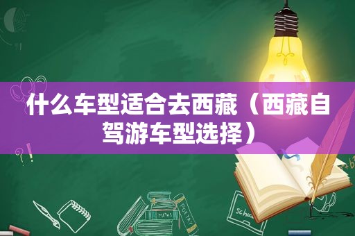 什么车型适合去 *** （ *** 自驾游车型选择）