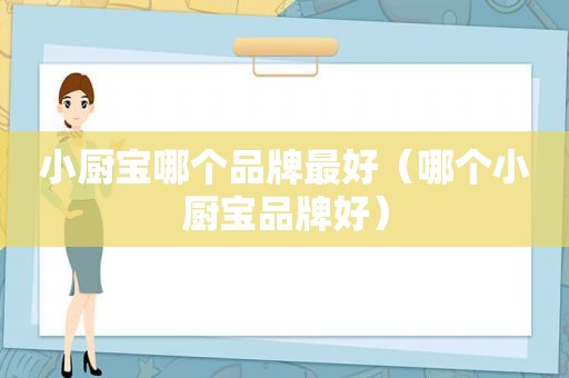 小厨宝哪个品牌最好（哪个小厨宝品牌好）