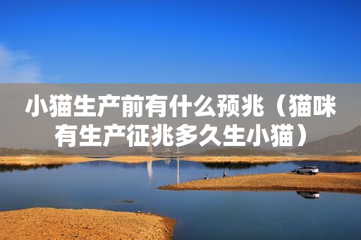 小猫生产前有什么预兆（猫咪有生产征兆多久生小猫）