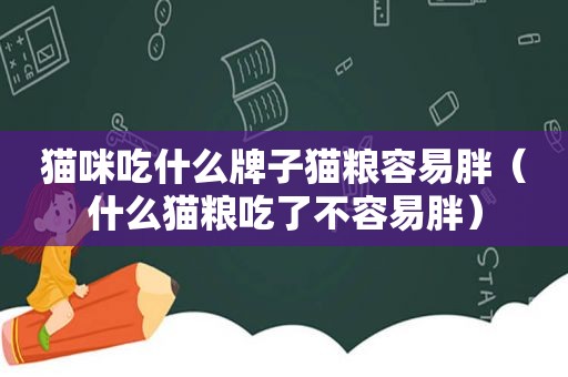 猫咪吃什么牌子猫粮容易胖（什么猫粮吃了不容易胖）