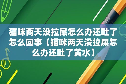 猫咪两天没拉屎怎么办还吐了怎么回事（猫咪两天没拉屎怎么办还吐了黄水）