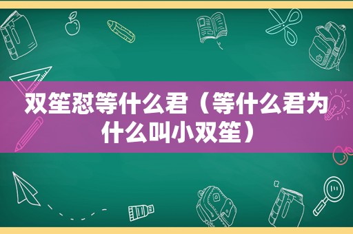 双笙怼等什么君（等什么君为什么叫小双笙）