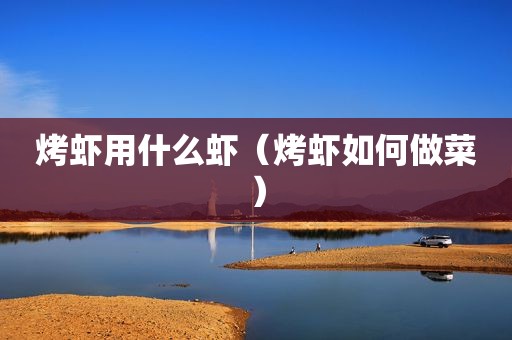 烤虾用什么虾（烤虾如何做菜）