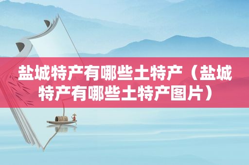 盐城特产有哪些土特产（盐城特产有哪些土特产图片）