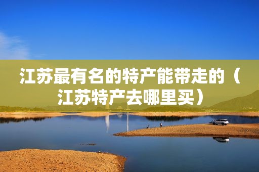 江苏最有名的特产能带走的（江苏特产去哪里买）