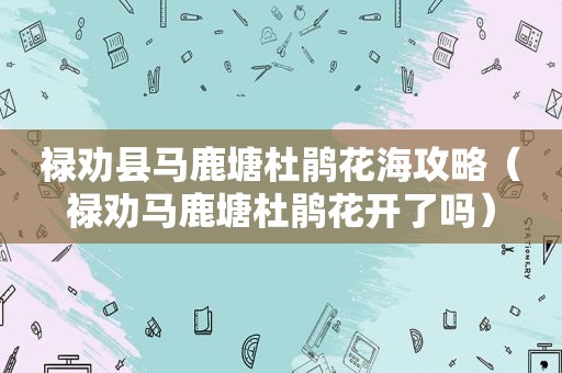 禄劝县马鹿塘杜鹃花海攻略（禄劝马鹿塘杜鹃花开了吗）