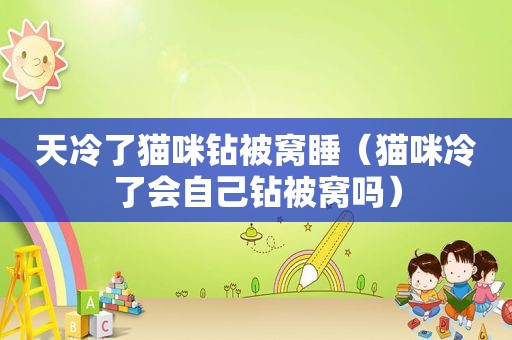 天冷了猫咪钻被窝睡（猫咪冷了会自己钻被窝吗）