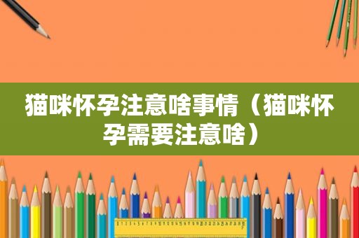 猫咪怀孕注意啥事情（猫咪怀孕需要注意啥）