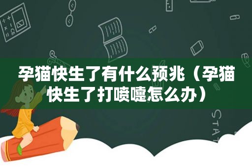 孕猫快生了有什么预兆（孕猫快生了打喷嚏怎么办）