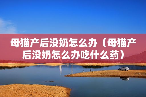 母猫产后没奶怎么办（母猫产后没奶怎么办吃什么药）
