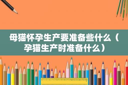 母猫怀孕生产要准备些什么（孕猫生产时准备什么）