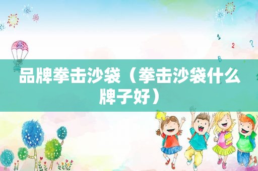 品牌拳击沙袋（拳击沙袋什么牌子好）