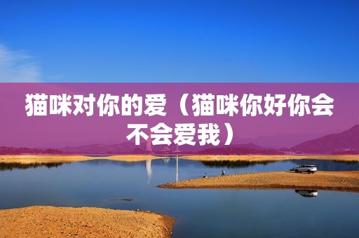 猫咪对你的爱（猫咪你好你会不会爱我）
