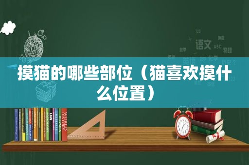 摸猫的哪些部位（猫喜欢摸什么位置）